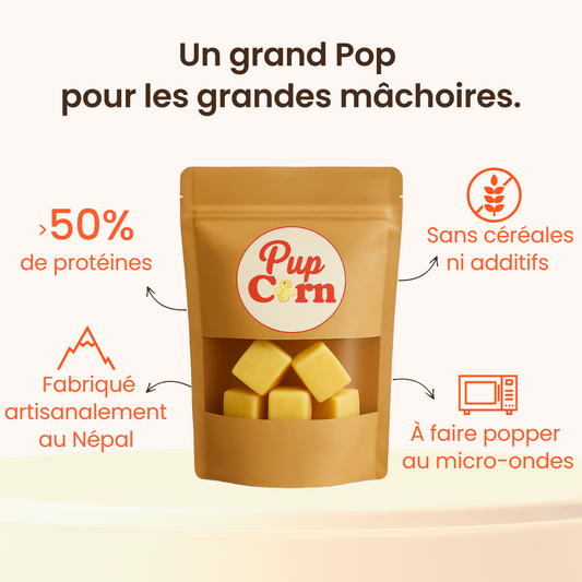 Friandise naturelle chien Pupcorn Maxi 52g fromage yak