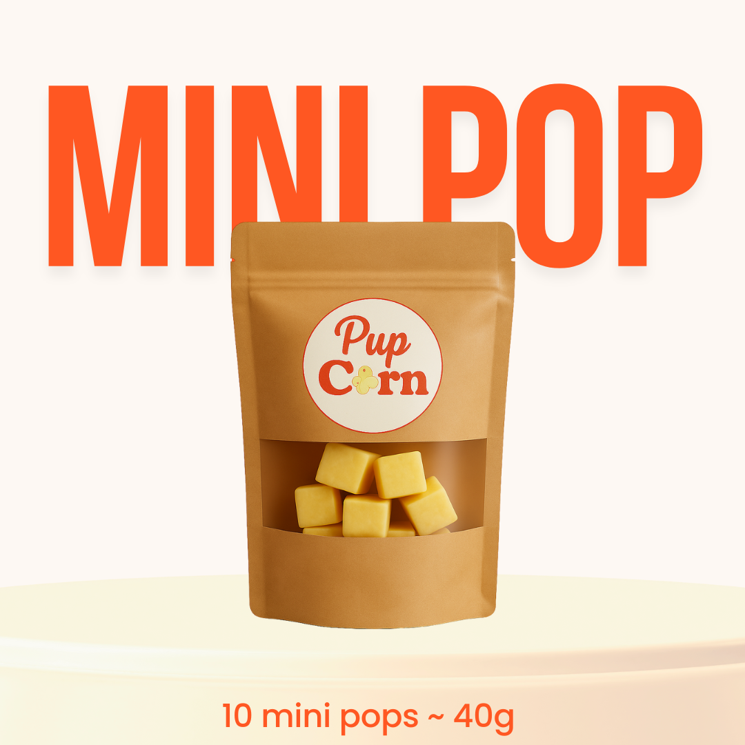 Mini Pop