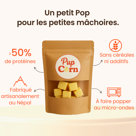 Snack fromage de yak pour chien Pupcorn Mini 40g