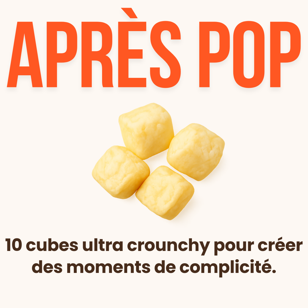 Mini Pop