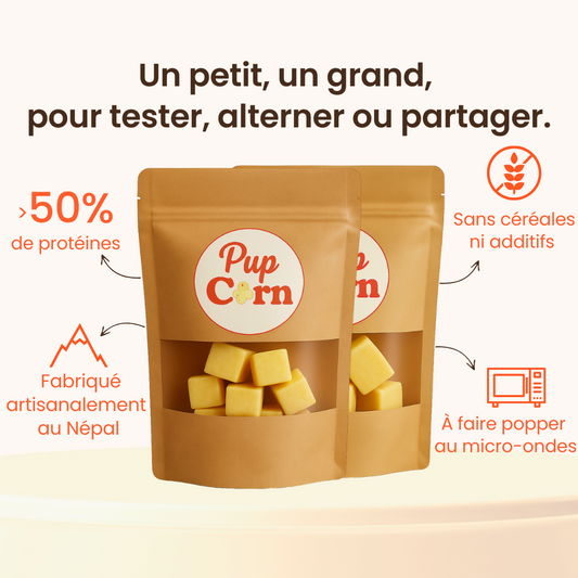 Pack mixte snacks fromage de yak chien Pupcorn Mini et Maxi