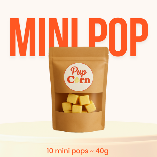Mini Pop